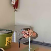 Funkubung Un Insekteneinsatzschulung003
