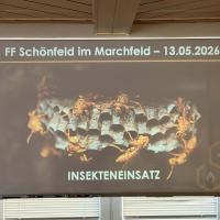 Insekteneinsatzschulung