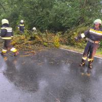Strurmschaden 7/25